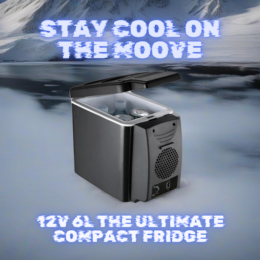 Car Mini Refrigerator Cooler and Warmer